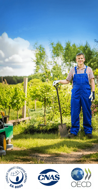 🌱 Cyclosinone Granular Weed Killer – Low-Toxicity Formula for Lawns & Gardens